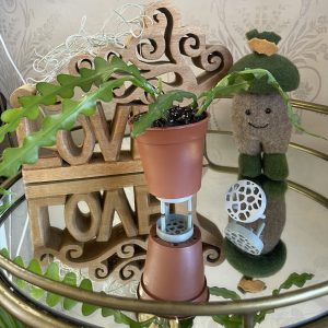 Pot riser
