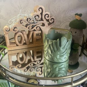 Monstera plant pot